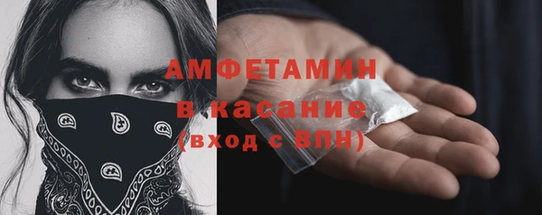 молекула духа Алексеевка